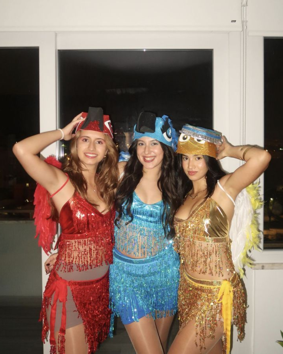 Disfraz Carnaval Rio