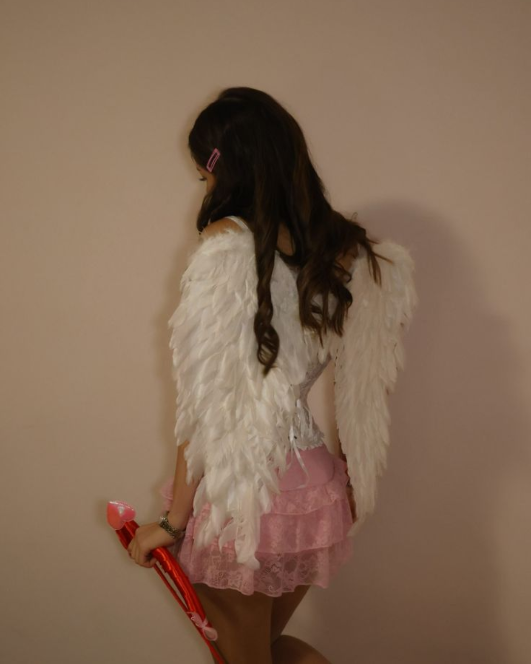 Alas de Angel