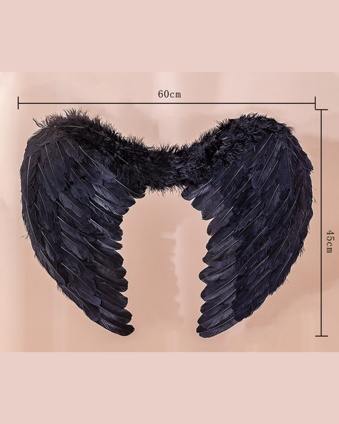 Alas de Angel