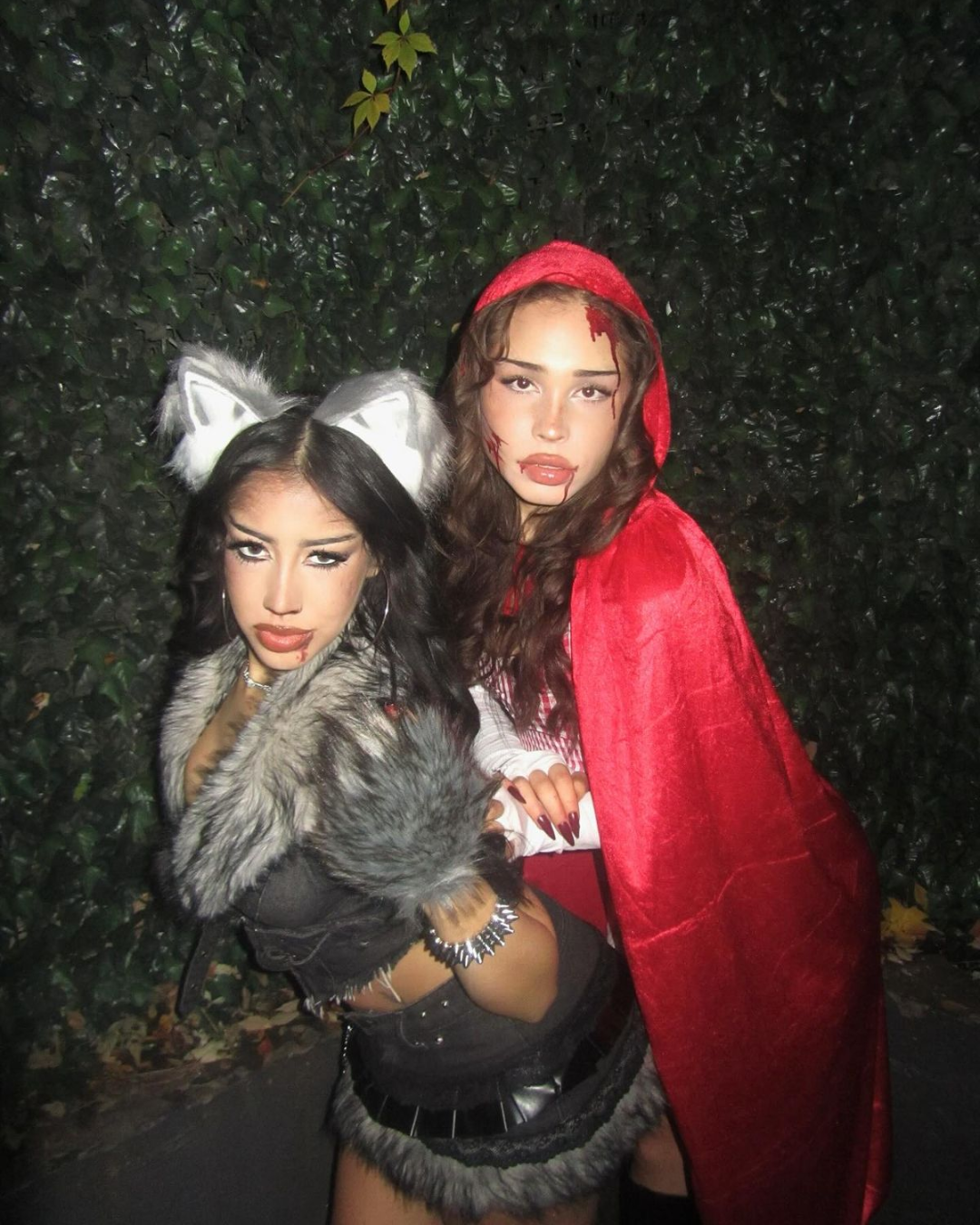 Vincha Loba